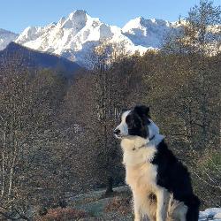 clairecominac Ercé France