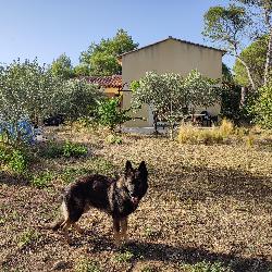 Dora13680, Home owner Lançon-Provence France