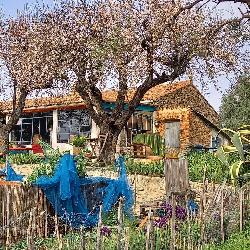 Isbgar, Home owner La Cadière-d'Azur France