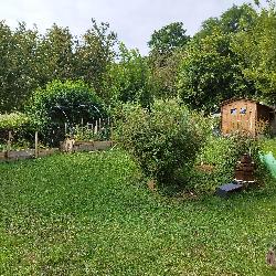 Manuevincent, Home owner Albigny-sur-Saône France