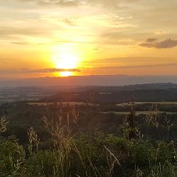 Nature, Home sitter Monclar-de-Quercy France