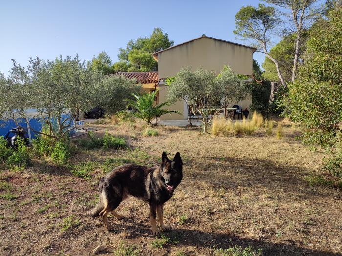 home sitting, France, Lançon-Provence