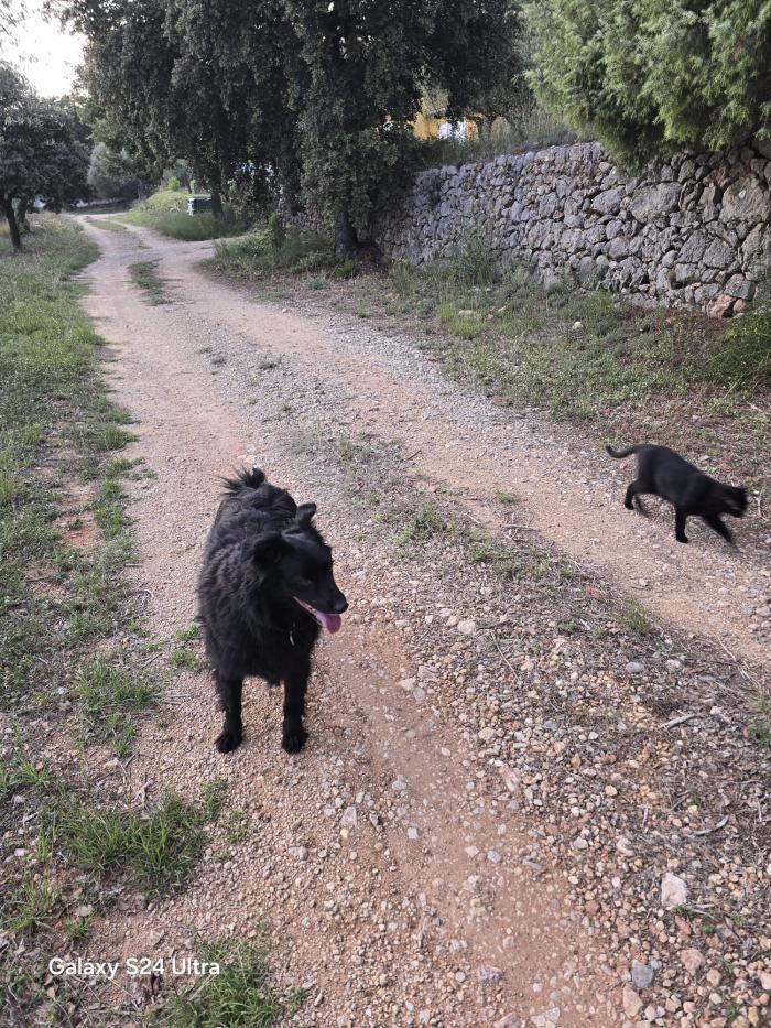 home sitting, France, Moissac-Bellevue